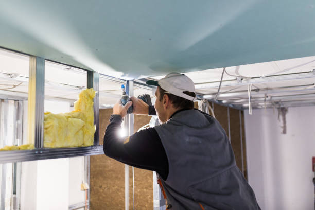 Best Blown-in Insulation in Friendship Heights Village, MD