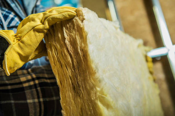 Best Eco-Friendly Insulation in Friendship Heights Village, MD