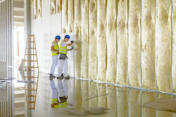 Best Energy Efficiency Insulation in Friendship Heights Village, MD